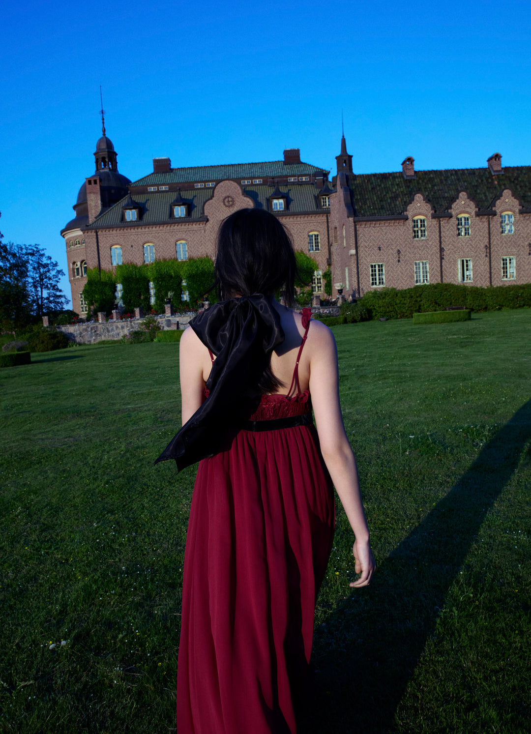 Claudine Chiffon Maxi Dress — Oxblood - Image 5