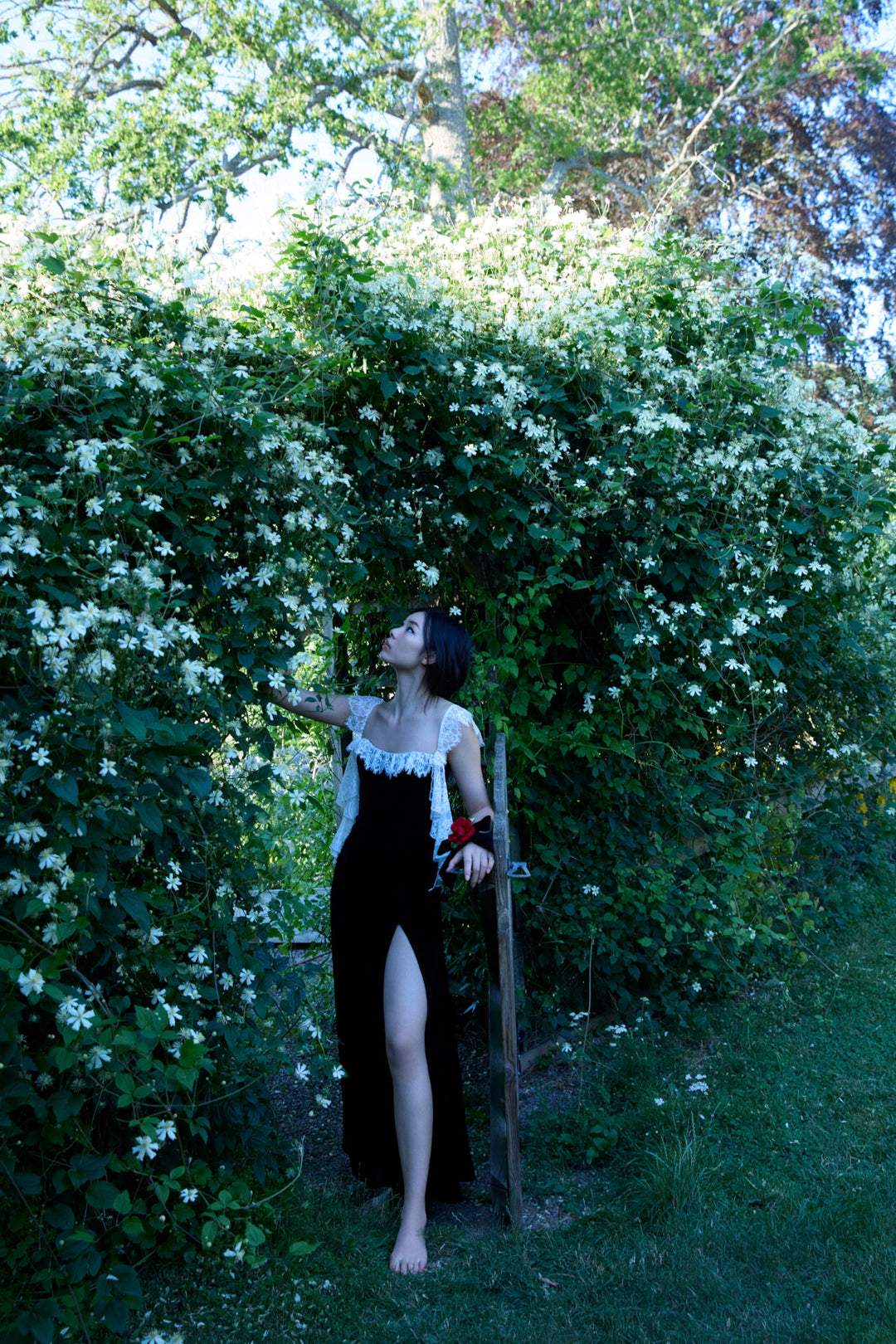La Vie En Bow Velvet Maxi Dress — Black - Image 6